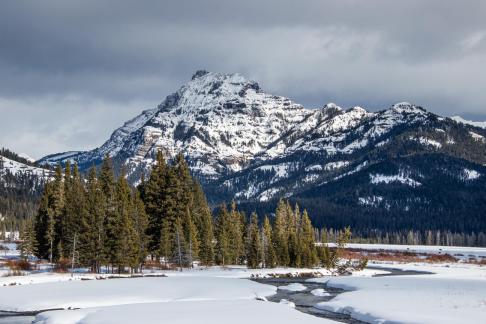 Soda Butte Creek