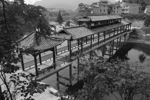 fenghuang11