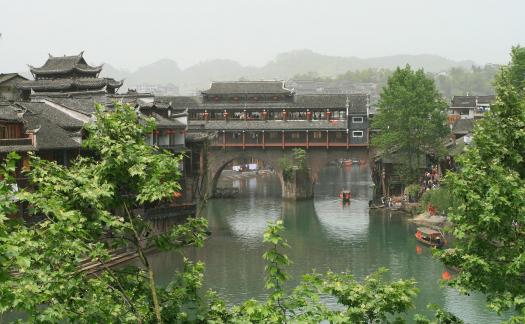 fenghuang4