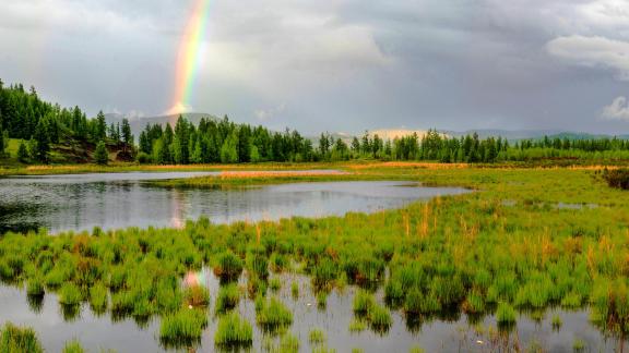 Beautiful Rainbow in Wetlands