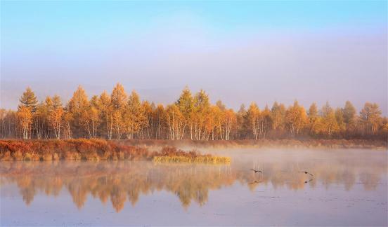 Dujuan Lake Morning Song