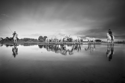 Reflection at Aigues Mortes 2