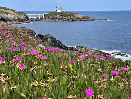 Lighthouse landscape