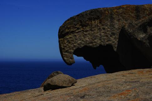 Elephant Trunk Stone