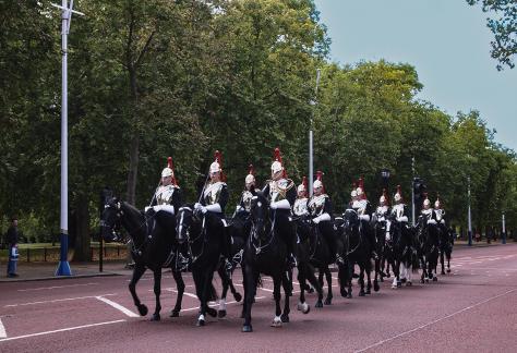 horse guards