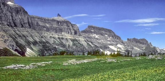 Summer In The Rockies