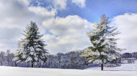 After The Snow Storm