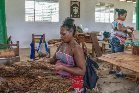 Cigar factory Cuba