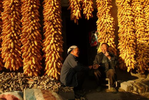 The joy of harvest