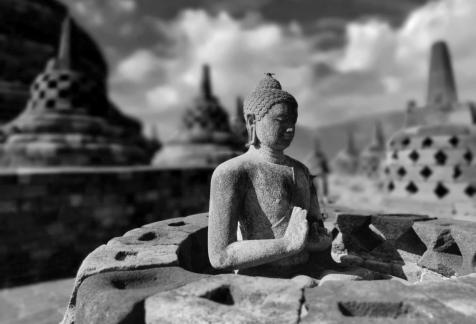 Bee on head of Buddha statue