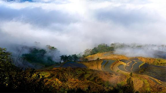 Dream land of misty terraces