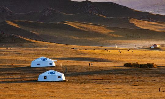 Two white yurts