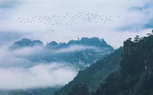 Zhangjiajie in the sea of clouds 3