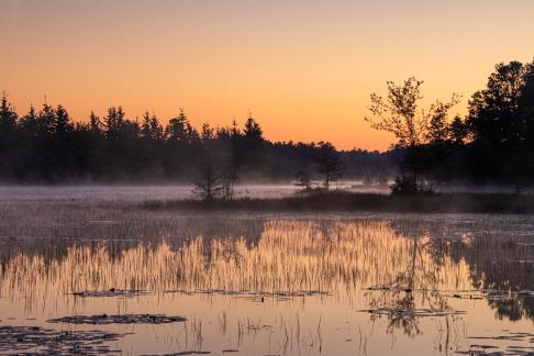 Cranberry bog sunrise 5622