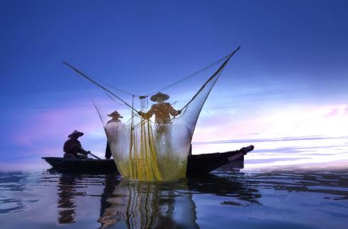 Fishermen yellow net 429