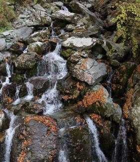 mountain stream