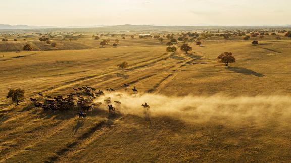 The vast grassland is now raging