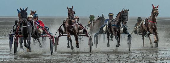 trot race 22