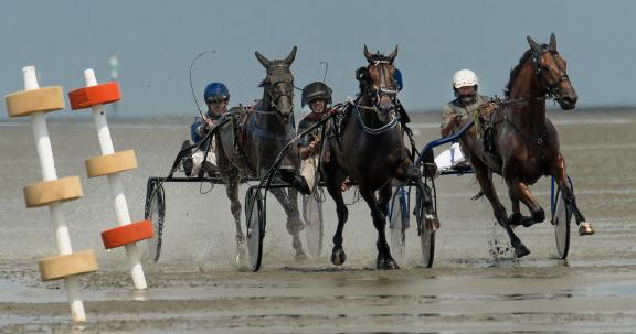 trot race 9