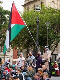 Palestine protester