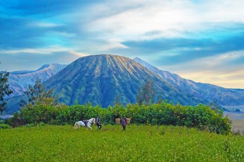 Under Mt Bromo