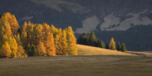 Autumn colors in the Dolomites