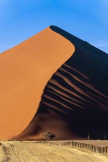 Dune of Namibia 3