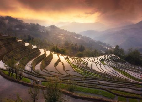 Sunset Yuanyang Rice Terrace 2