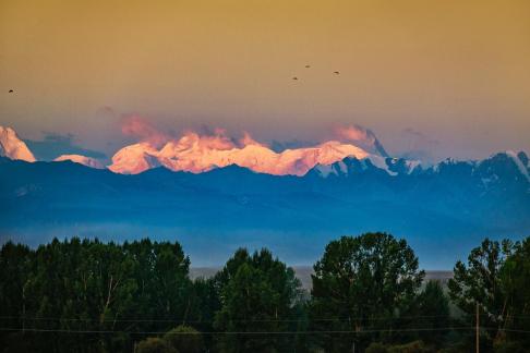 Snow mountains and birds