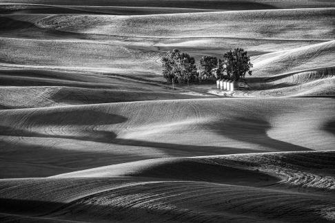 Palouse 19