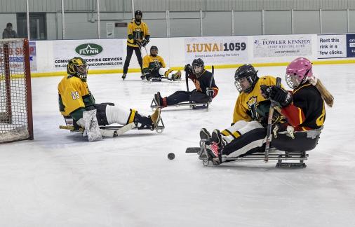 Sledge Hockey Pink 73