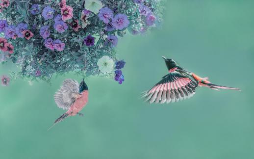 Collecting nectar from flowers