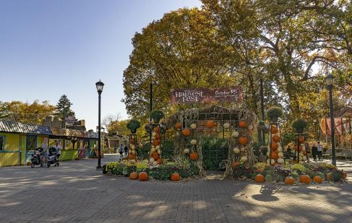 Harvest Festival