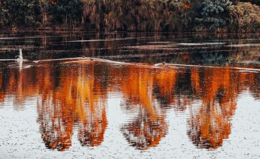 Autumn Lagoon