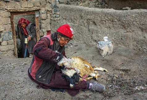 Ladakh 20