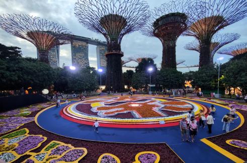 Visitors at flower carpet