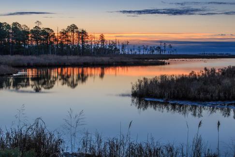 Blackwater NWR Sunrise