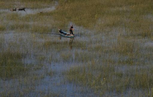 Fishing in the grass of the lake