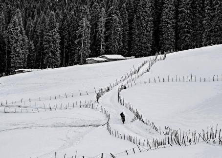 Snow Mountain Human Traces