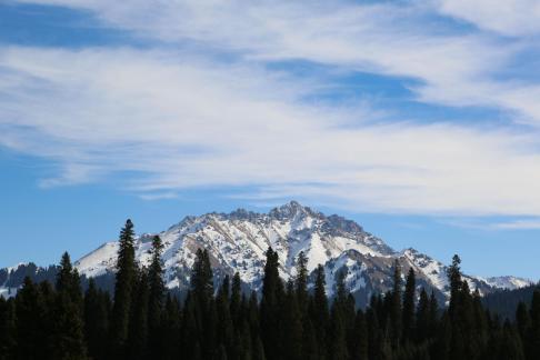 The top of the snowy mountains