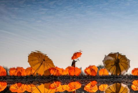 Sun umbrella