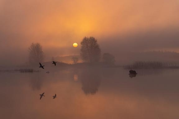 Sunrise at Lake Boora