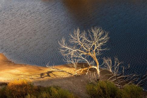 Autumn whispers softly along river