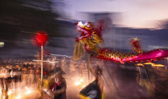 Flying dragon probing claws