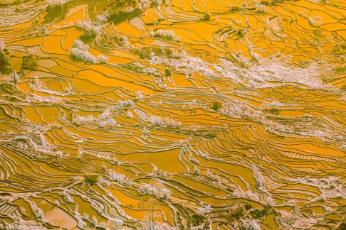 Yuanyang Rice Terraces