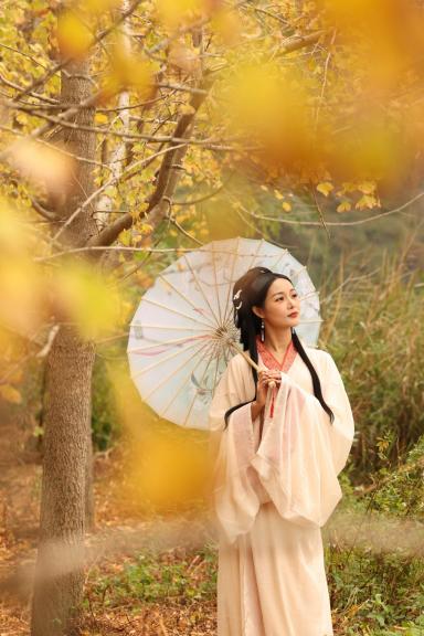 ancient beauty under the ginkgo tre