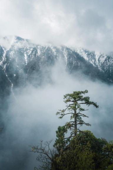 Veil of Mist and Snow Peaks