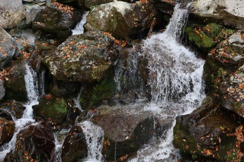 Mountain streams and rivers 5