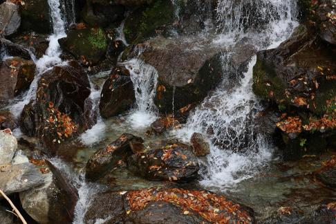 Mountain streams and rivers 6